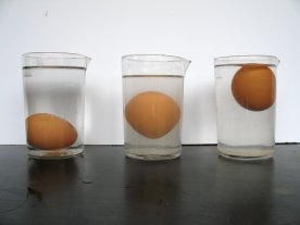 Huevos que flotan | Conlamenteabierta